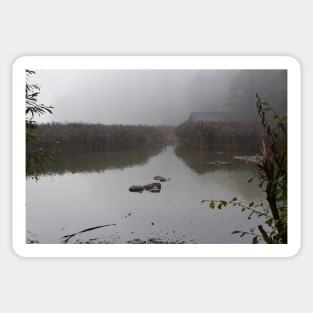 Autumn lake in the fog Sticker